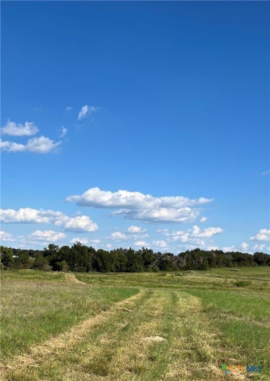 155 acres in Falls County - photo 8