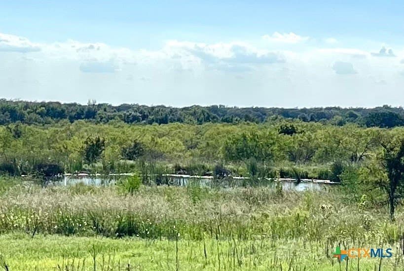 155 acres in Falls County - photo 12