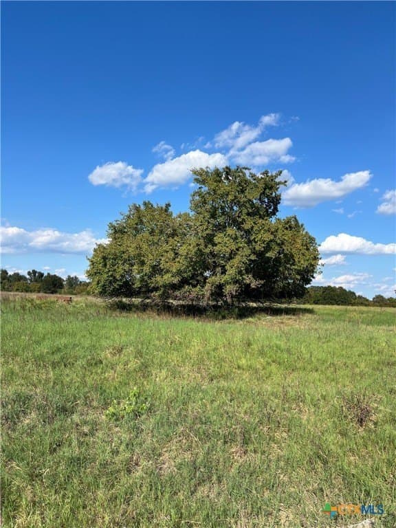 155 acres in Falls County - photo 11