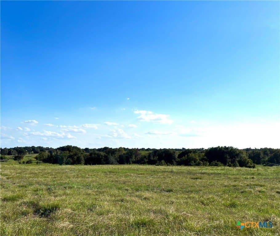 155 acres in Falls County - photo 6