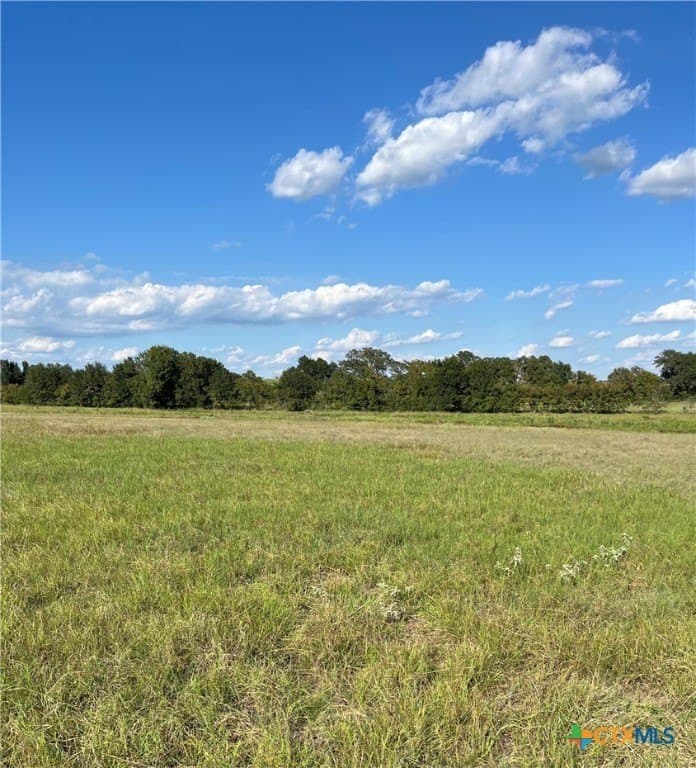 155 acres in Falls County - photo 10