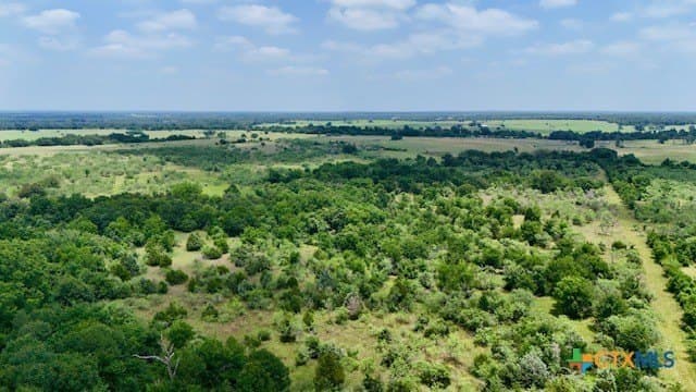 155 acres in Falls County - photo 27