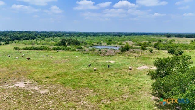 155 acres in Falls County - photo 9
