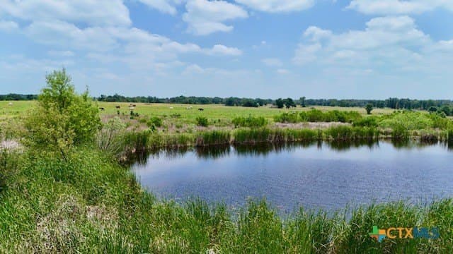 155 acres in Falls County - photo 22