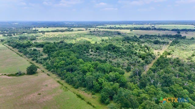 155 acres in Falls County - photo 26
