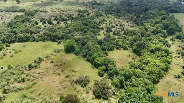 155 acres in Falls County - photo 25