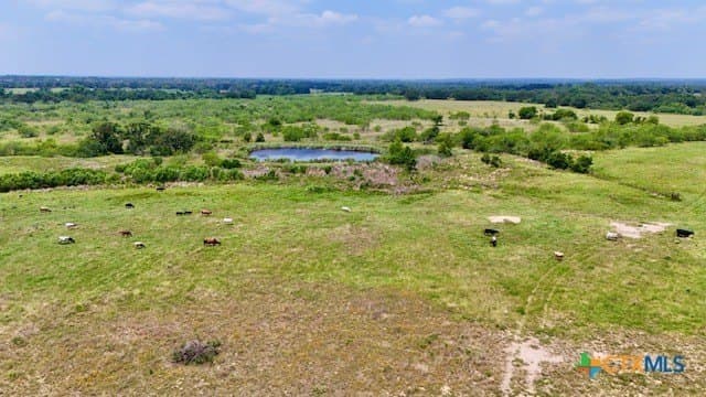 155 acres in Falls County - photo 18
