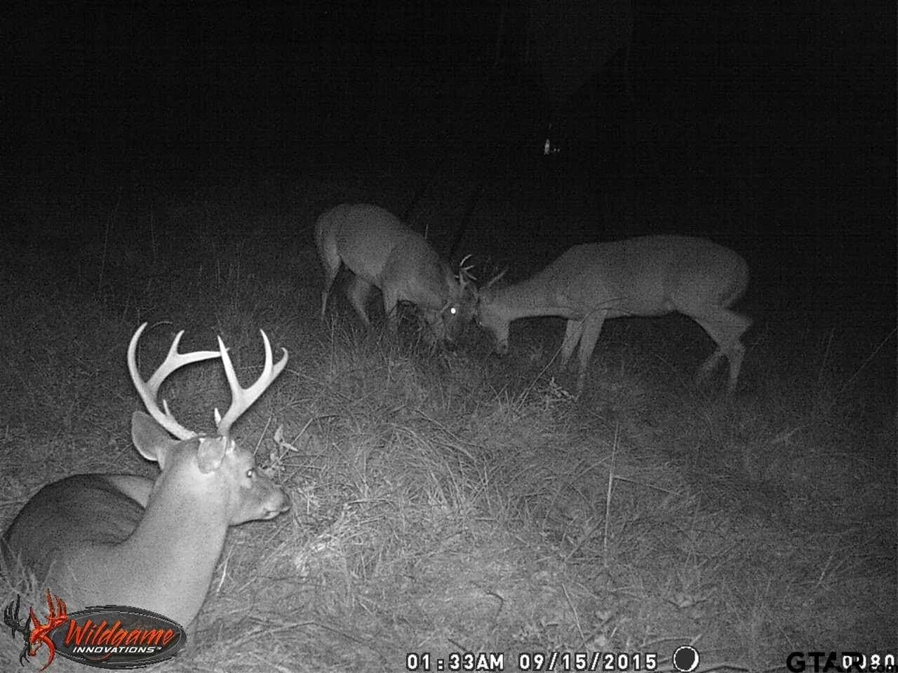 110.08 acres in Smith County - photo 8