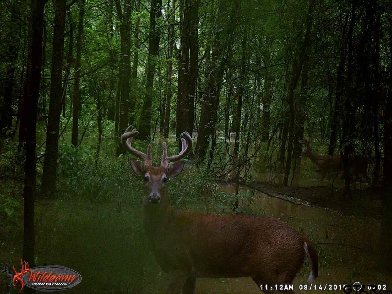 110.08 acres in Smith County - photo 13