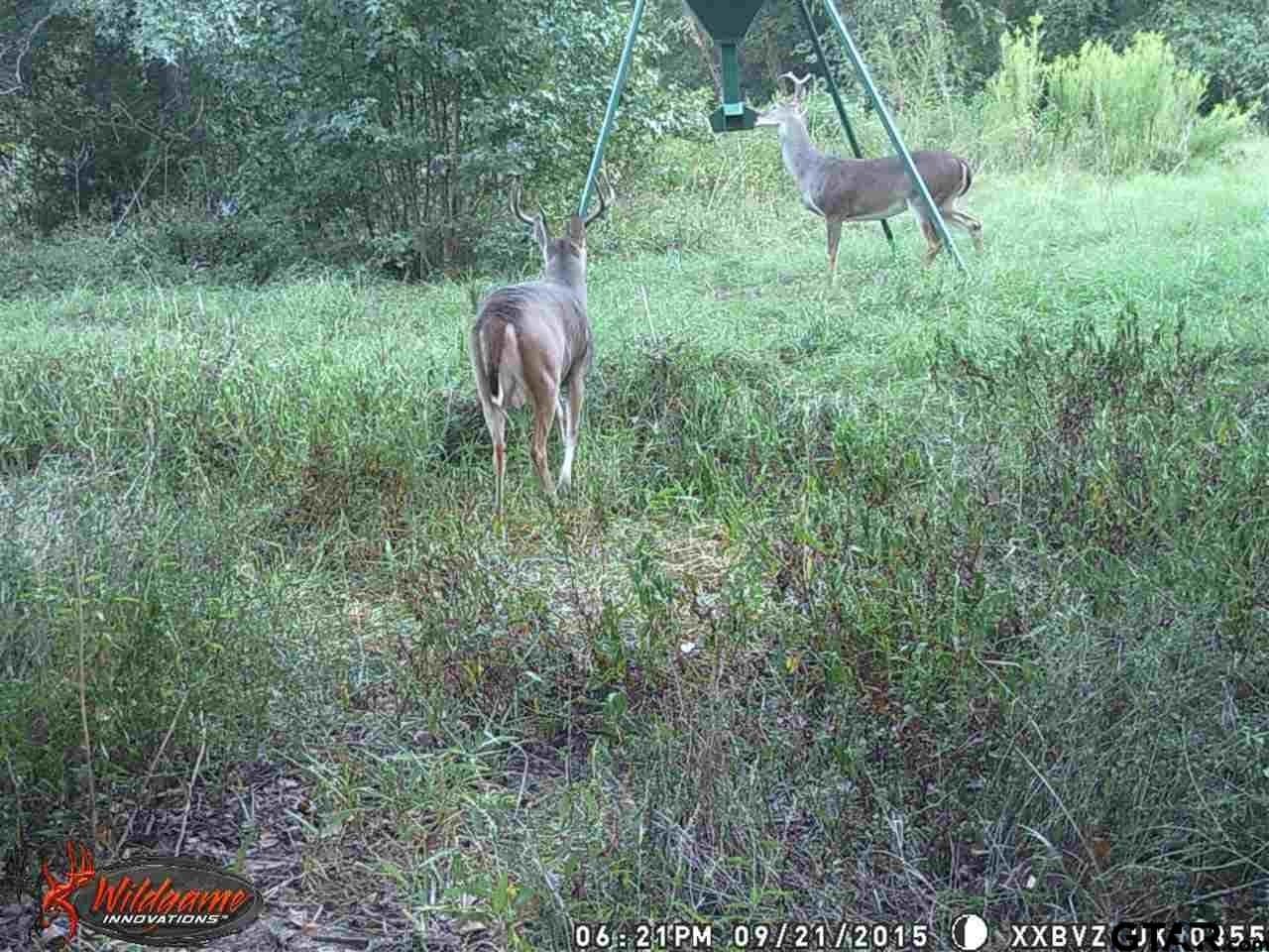 110.08 acres in Smith County - photo 15