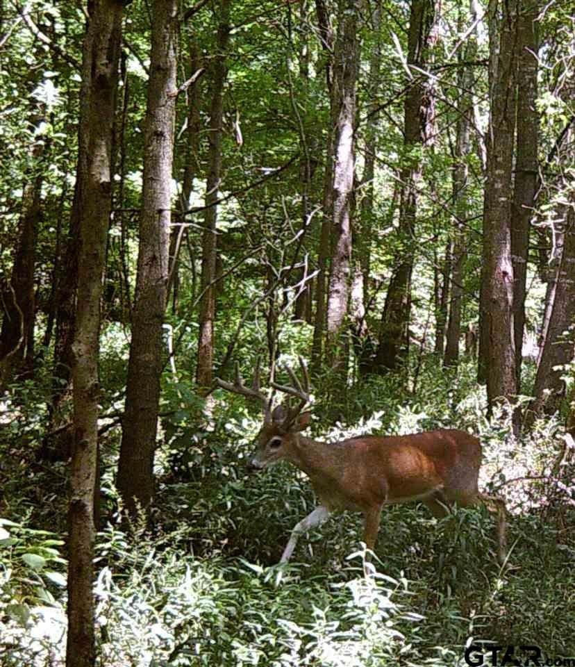 110.08 acres in Smith County - photo 10