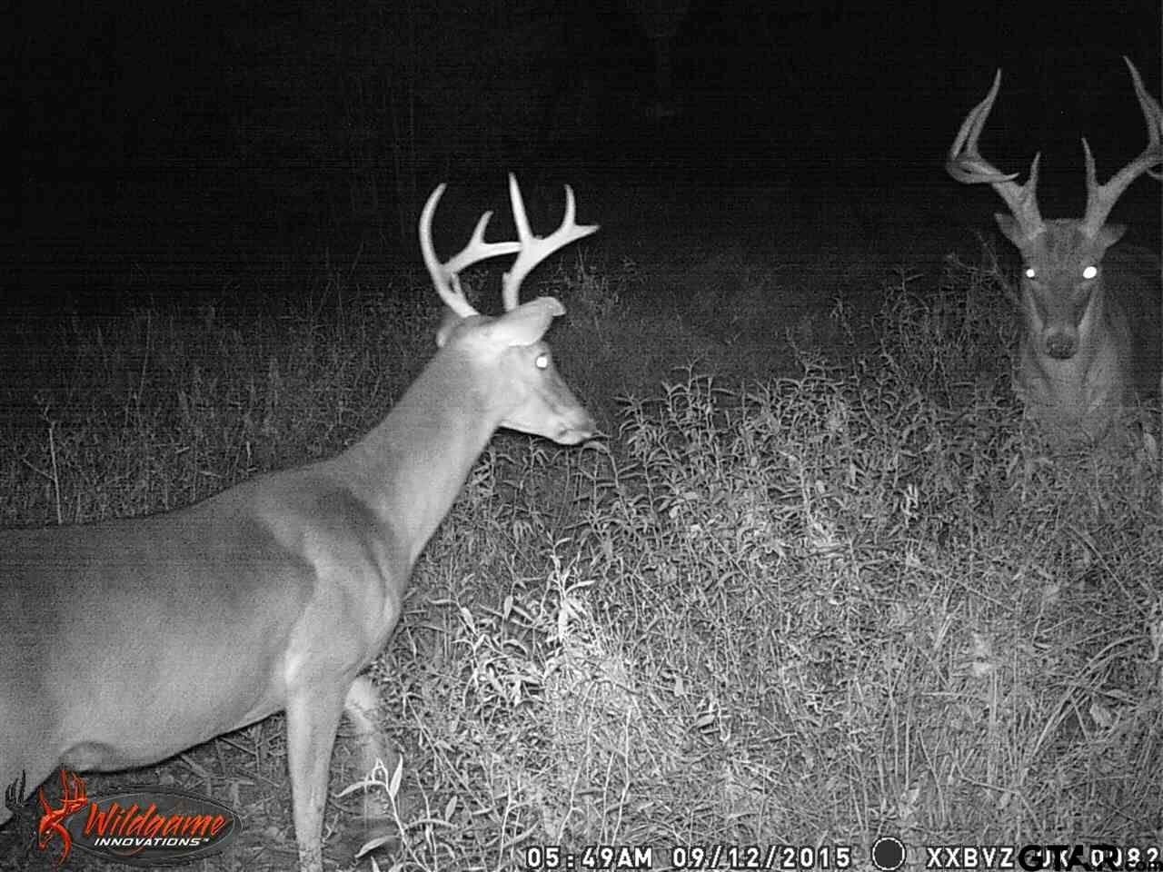 110.08 acres in Smith County - photo 9