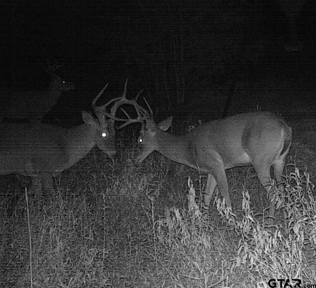 110.08 acres in Smith County - photo 14