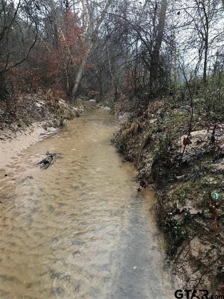 110.08 acres in Smith County - photo 5