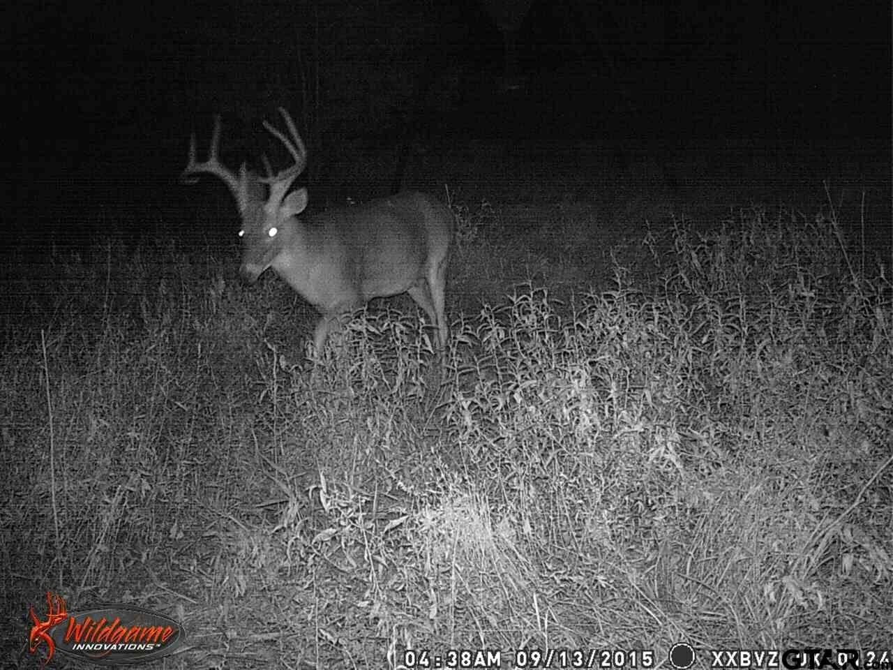 110.08 acres in Smith County - photo 12
