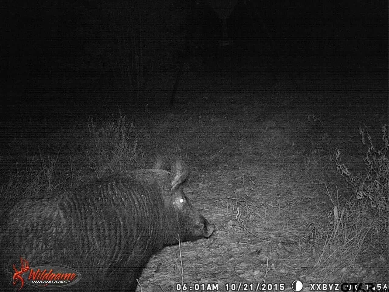 110.08 acres in Smith County - photo 16