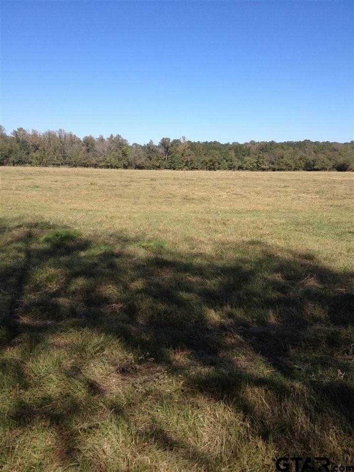 110.08 acres in Smith County - photo 3