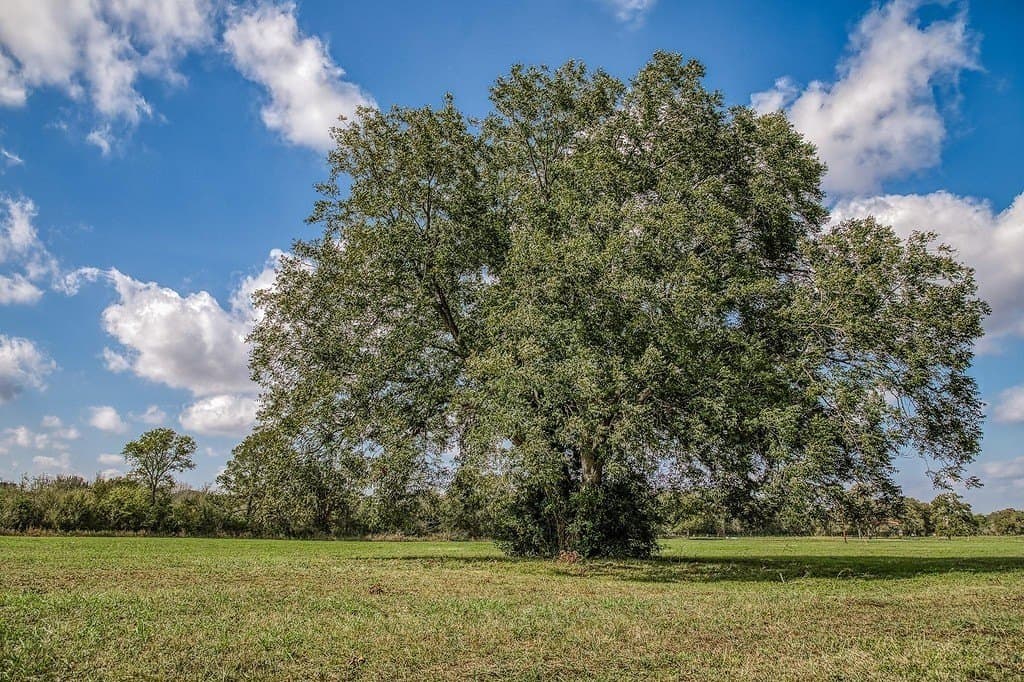 21.7 acres in Washington County - photo 15