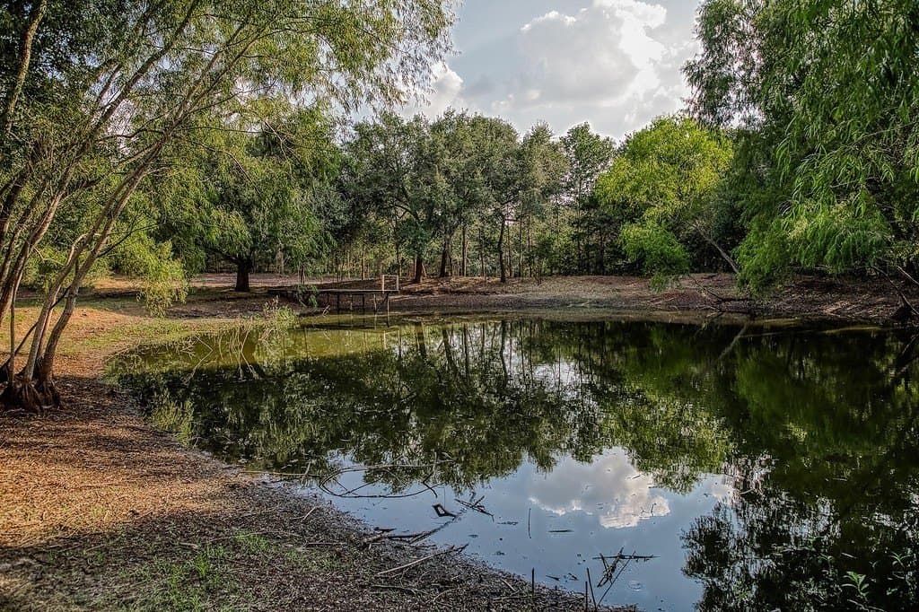 21.7 acres in Washington County - photo 11
