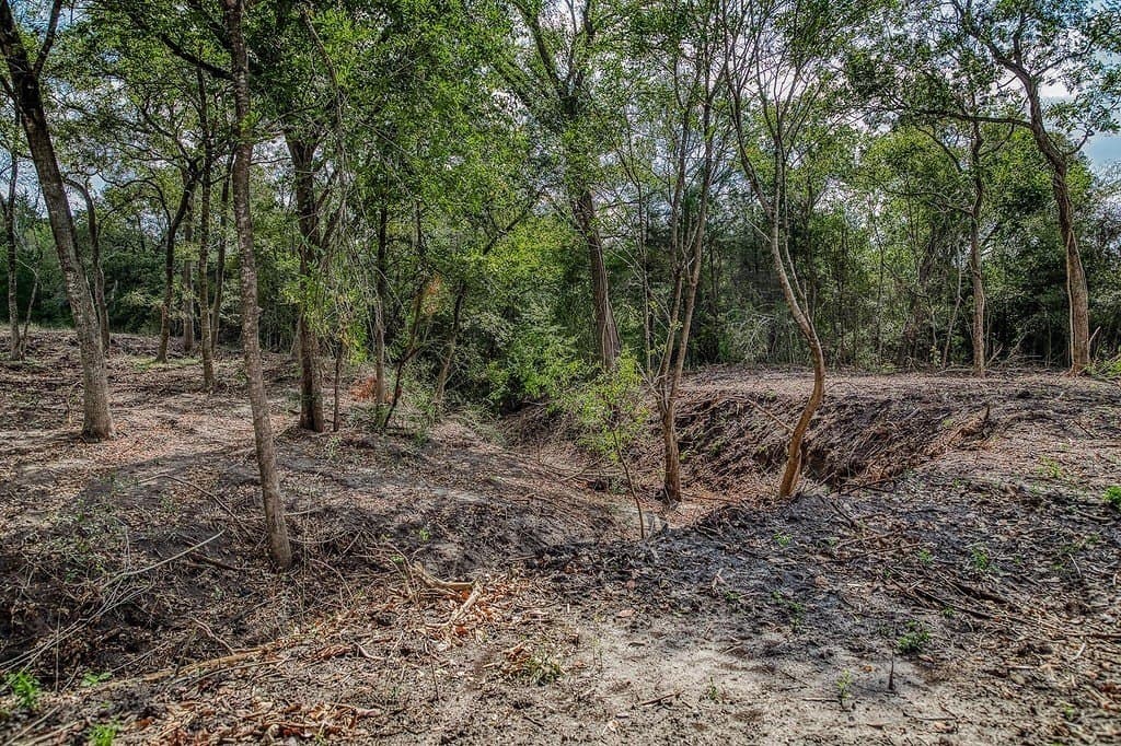 21.7 acres in Washington County - photo 13