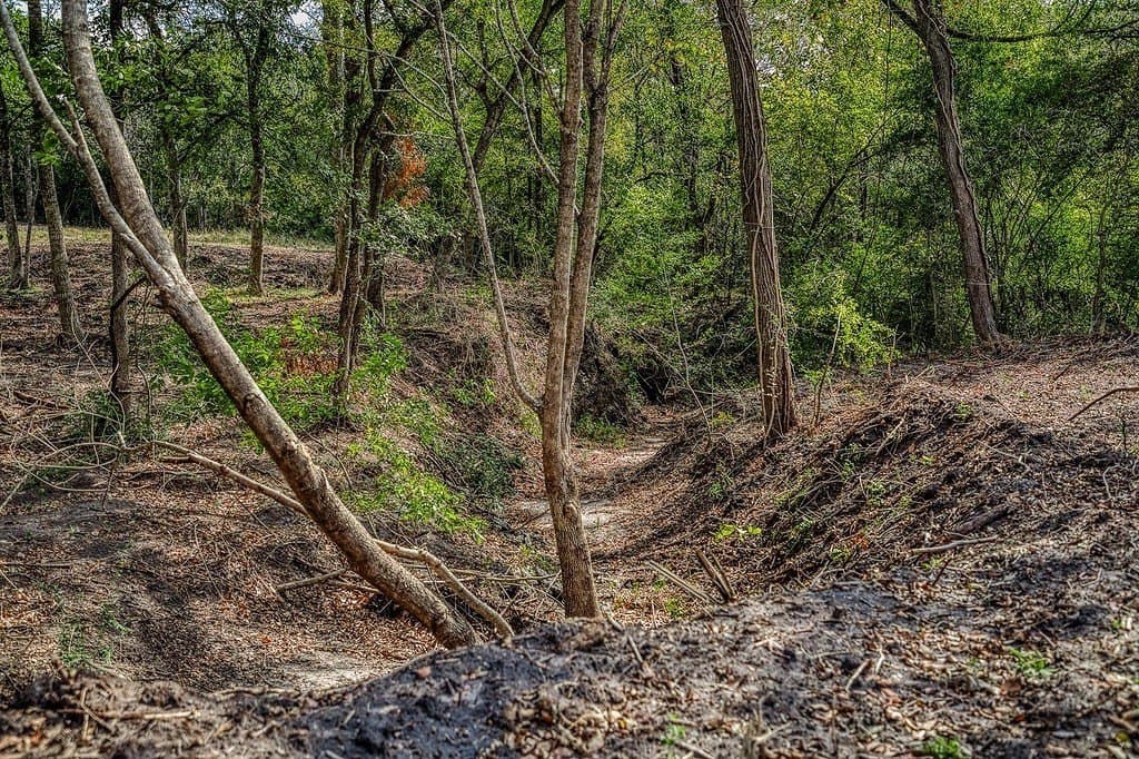 21.7 acres in Washington County - photo 14