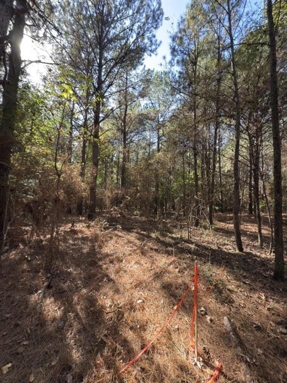 2 acres in Harrison County - photo 12
