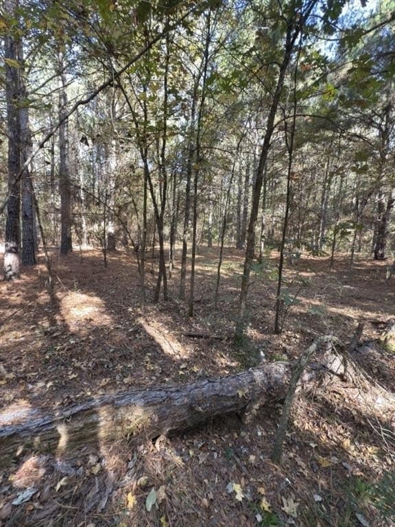 2 acres in Harrison County - photo 8