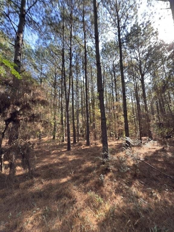 2 acres in Harrison County - photo 10