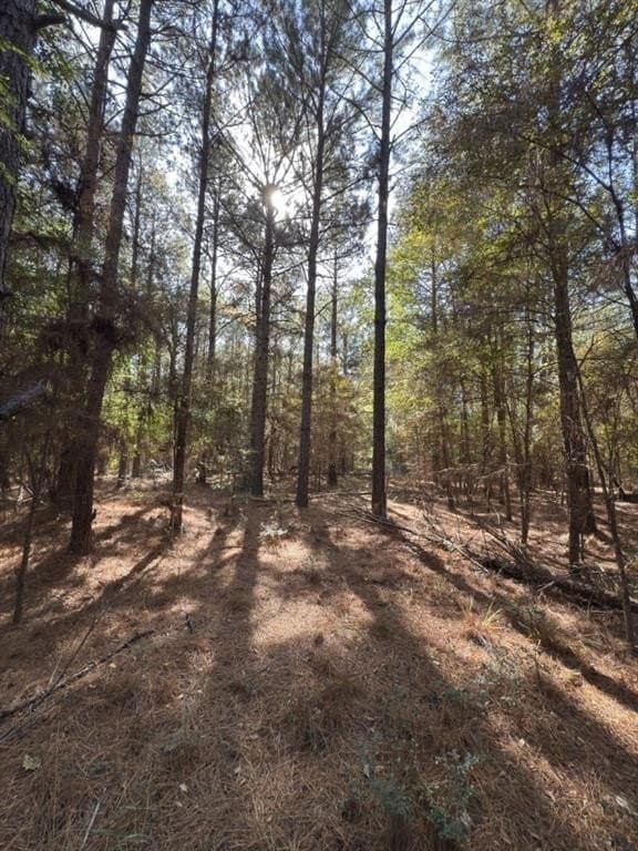 2 acres in Harrison County - photo 9