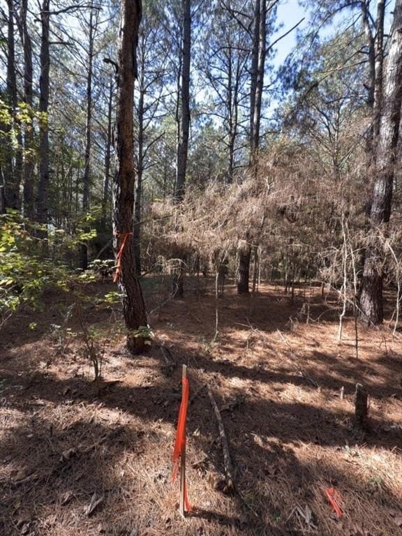 2 acres in Harrison County - photo 14