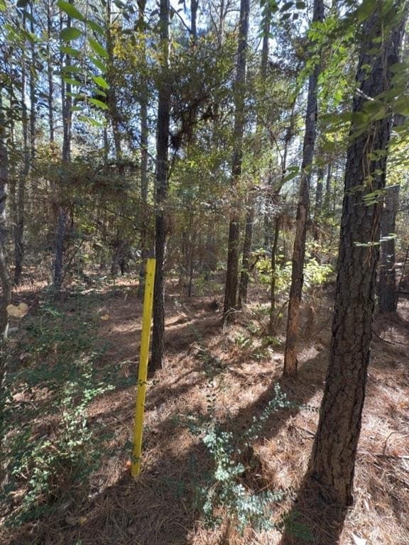 2 acres in Harrison County - photo 6