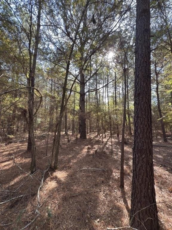 2 acres in Harrison County - photo 7