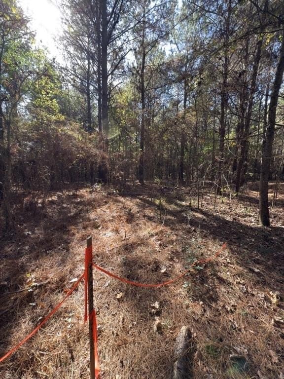 2 acres in Harrison County - photo 11