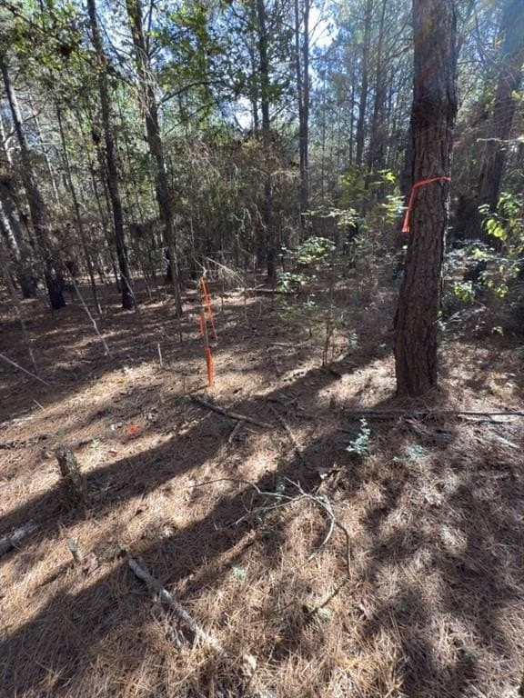2 acres in Harrison County - photo 13