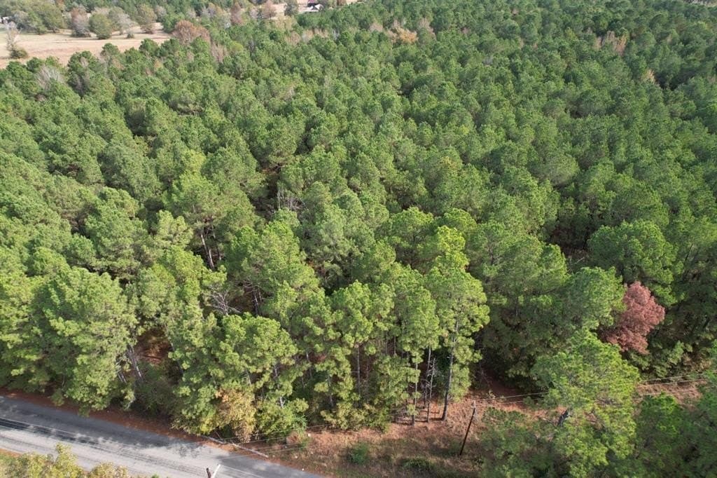 2 acres in Harrison County - photo 3