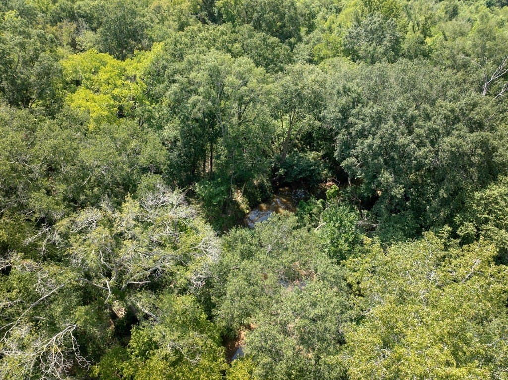 170.49 acres in ANDERSON County - photo 7