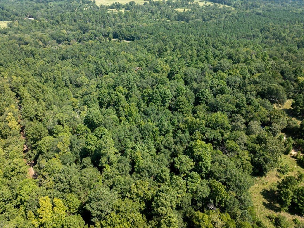 170.49 acres in ANDERSON County - photo 46