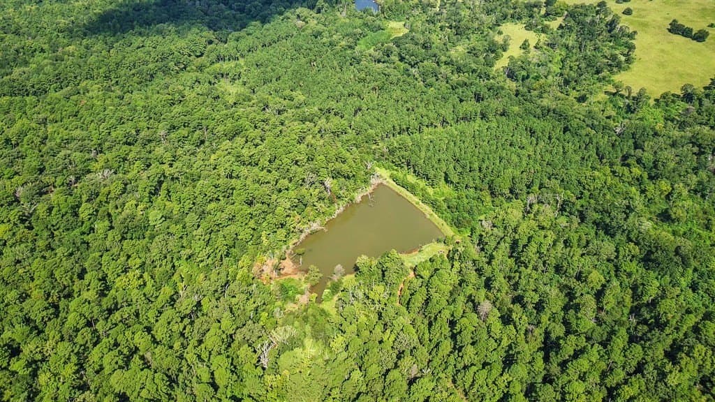 170.49 acres in ANDERSON County - photo 6
