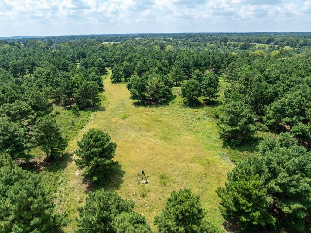 170.49 acres in ANDERSON County - photo 11