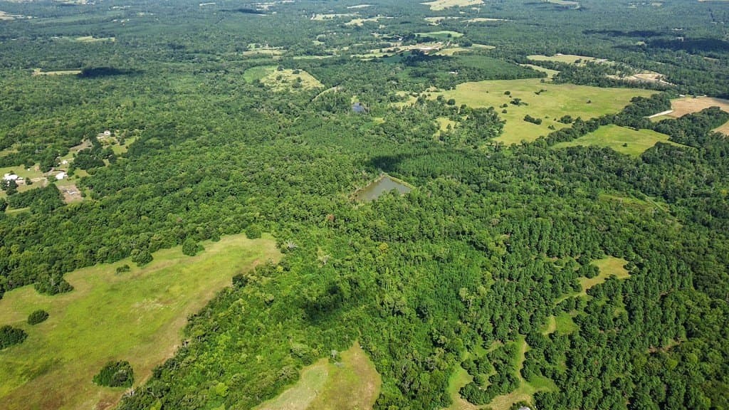 170.49 acres in ANDERSON County - photo 40