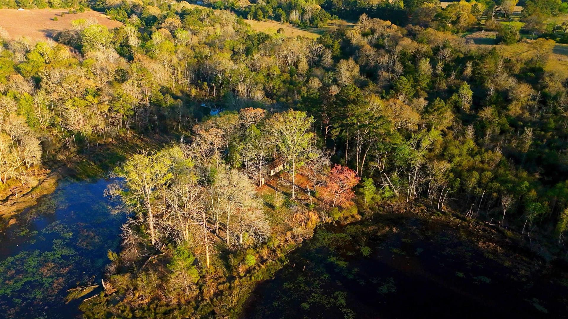 73.51 acres in Anderson County - photo 3