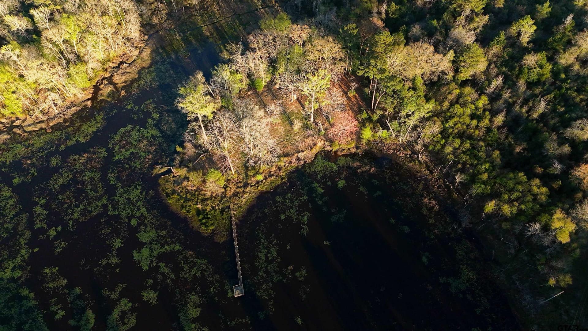 73.51 acres in Anderson County - photo 5