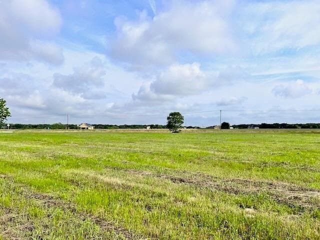 20.52 acres in Navarro County - photo 9