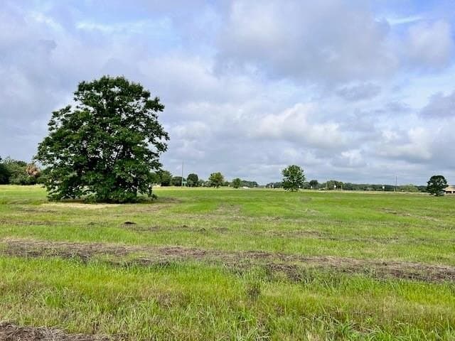 20.52 acres in Navarro County - photo 28
