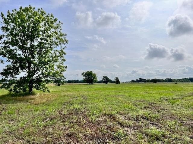 20.52 acres in Navarro County - photo 3