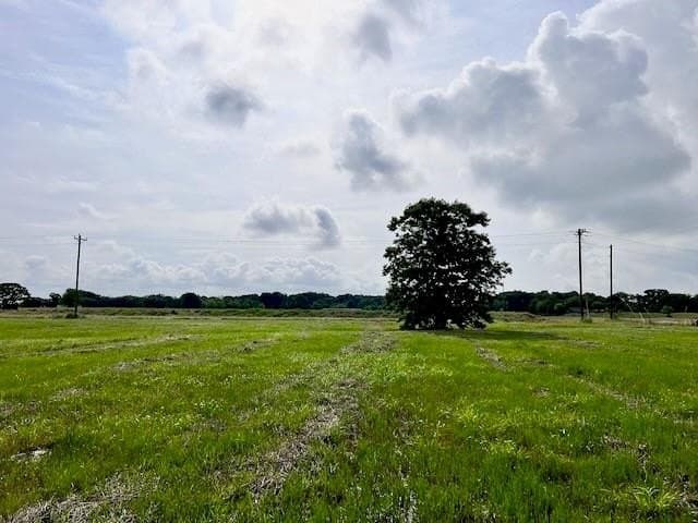 20.52 acres in Navarro County - photo 11