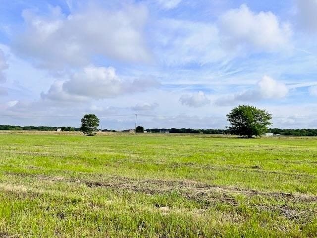 20.52 acres in Navarro County - photo 7
