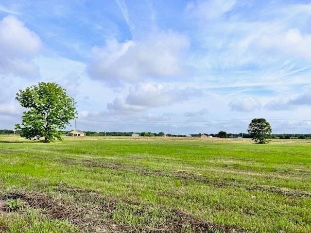 20.52 acres in Navarro County - photo 5