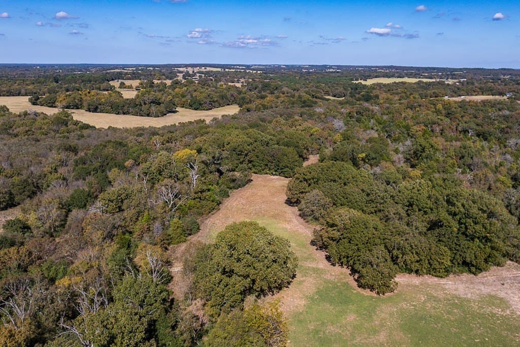 151.8 acres in Anderson County - photo 26