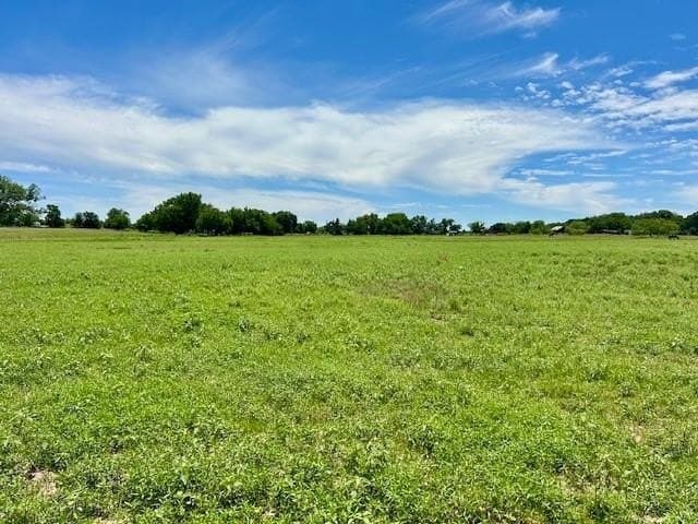 18.2 acres in Limestone County - photo 3